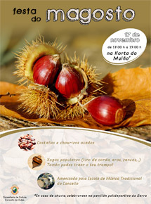 Gallery magosto