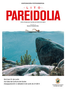 Gallery expo litopareidolia 2019