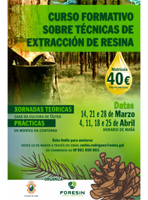 Gallery imx curso resina 2020